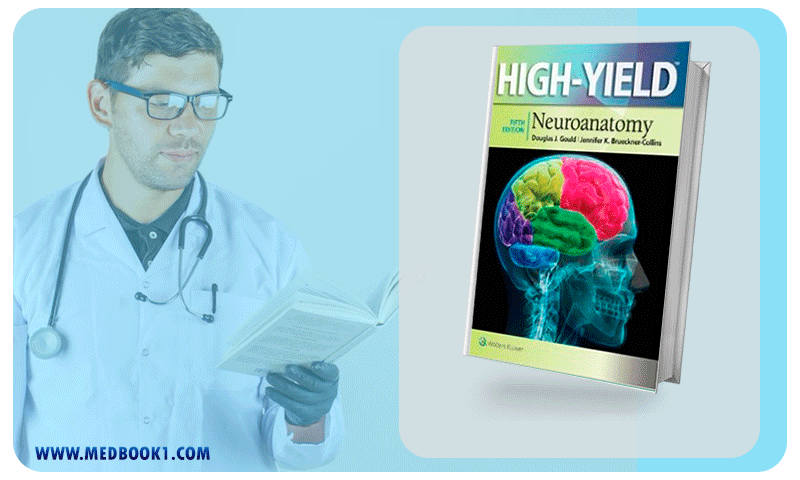 High Yield Neuroanatomy 5th Edition
