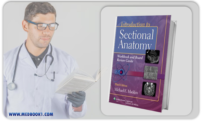 Introduction to Sectional Anatomy Workbook and Board Review Guide 3rd Edition (Original PDF from Publisher)