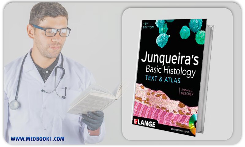 Junqueiras Basic Histology Text and Atlas 13th (Original PDF from Publisher)