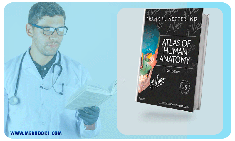 Netters Atlas of Human Anatomy 6th Edition