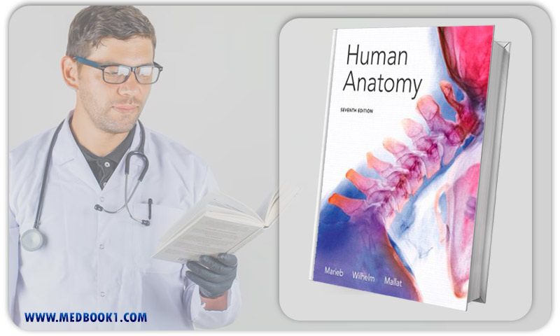 Human Anatomy (7th Edition) Marieb
