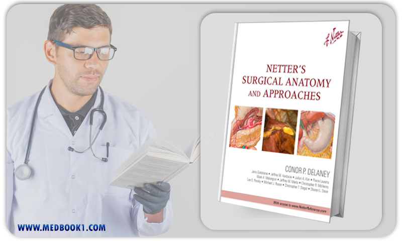Netters Surgical Anatomy and Approaches (RETAIL PDF from Publisher)