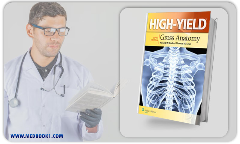 High Yield Gross Anatomy 5e (High Yield Series) (Original PDF from Publisher)