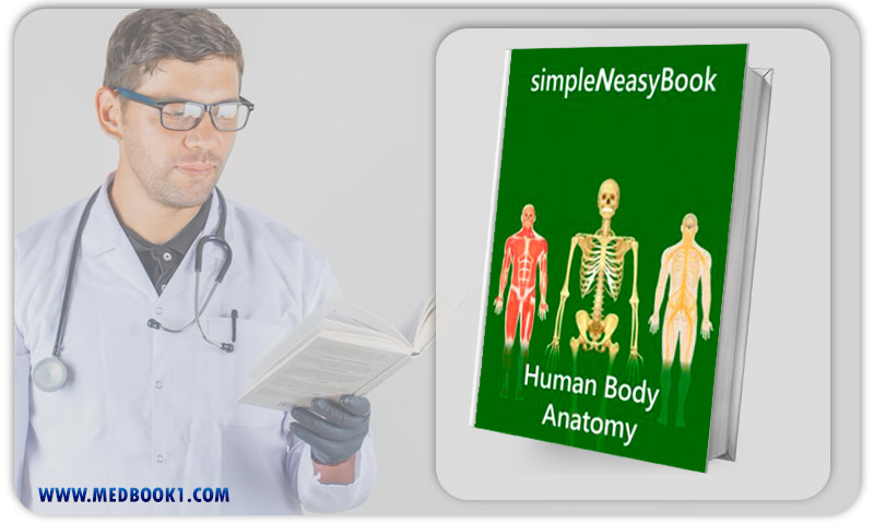 Human Body Anatomy simpleNeasyBook (EPUB)