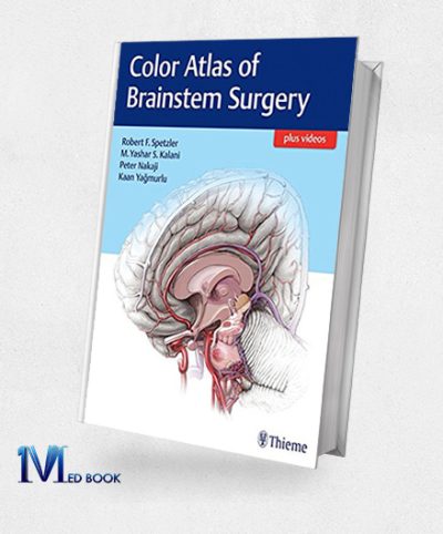 Color Atlas Of Brainstem Surgery