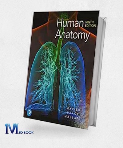 Human Anatomy