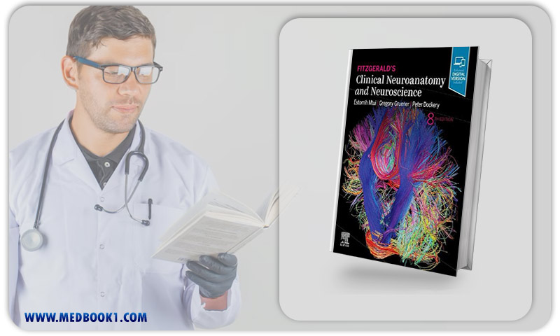 Fitzgeralds Clinical Neuroanatomy and Neuroscience, 8th Edition (Original PDF from Publisher)