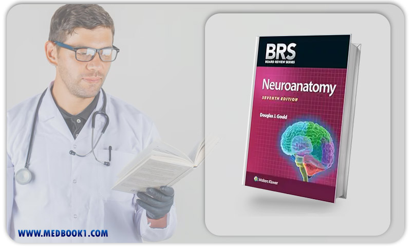 BRS Neuroanatomy, 7th Edition (EPub+Converted PDF)
