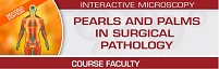 Pearls And Palms In Surgical Pathology 2023, Second Edition – USCAP (Videos)